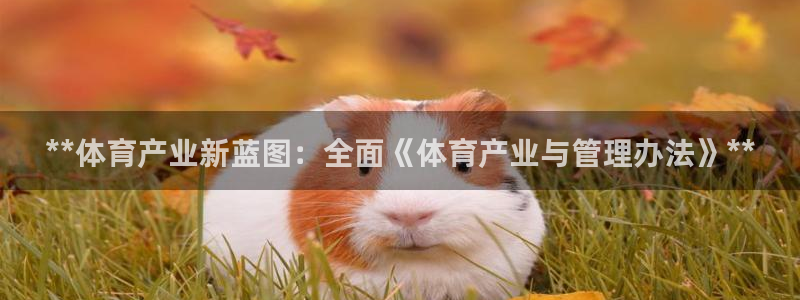必一运动验证码