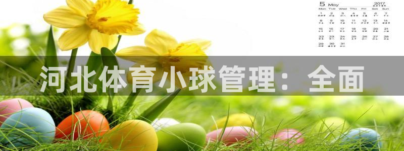 必一体育sport官