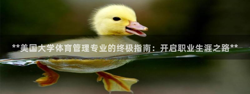 必一体育：**美国大