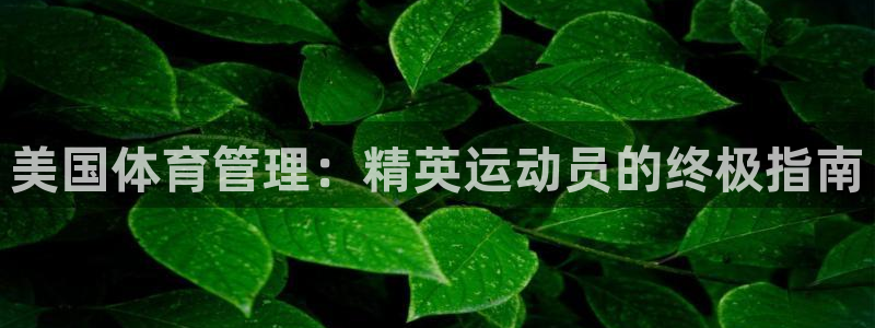 必一体育APP：美国