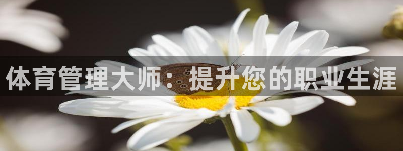必一体育登录APP下载