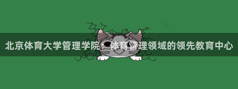 必一体育sport官