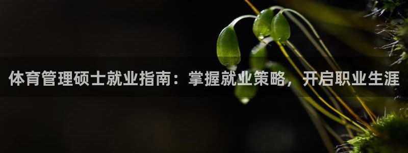 必一体育网页版登录：