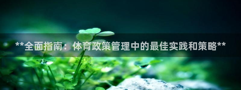 b体育官网下载入口a