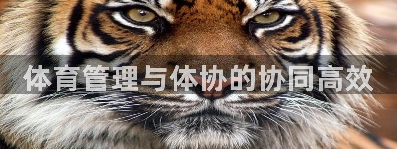 必一体育app官方下载