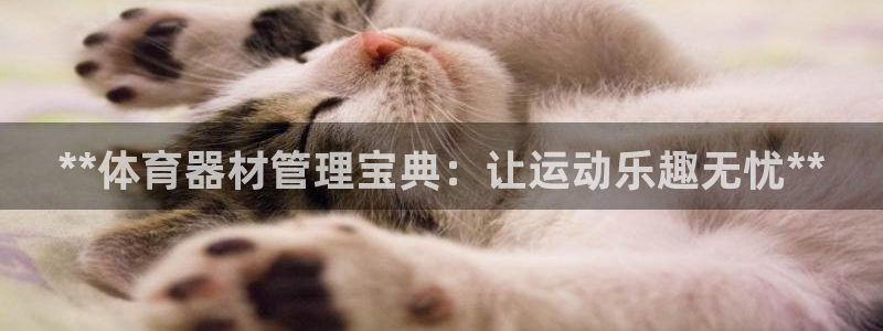 必一体育官网网址