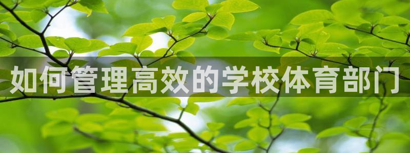 必一体育sport装