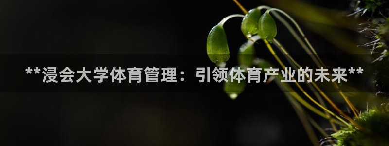 必一体育APP下载安装