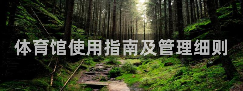 必一体育运动app下