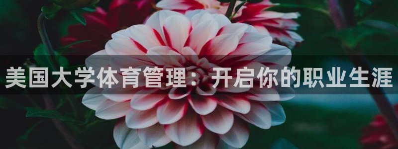 必一体育运动平台官网
