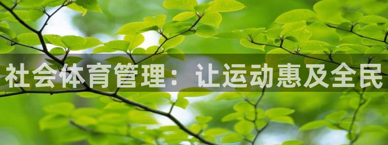 必一体育app下载：