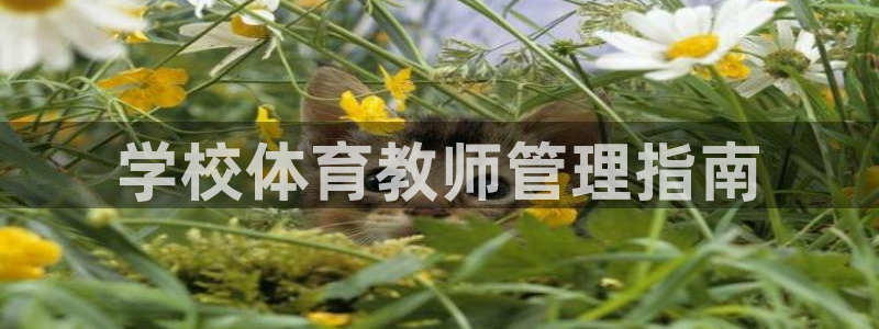 必一体育网页登陆：学
