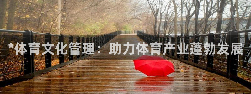 必一体育app下载装机吧