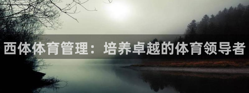 必一体育app下载最新版本