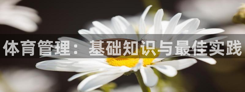 必一体育sport网页版