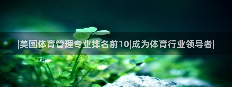 必一体育运动app：