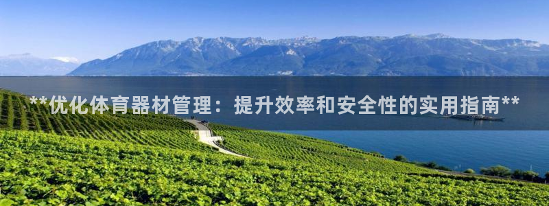 必一运动体：**优化