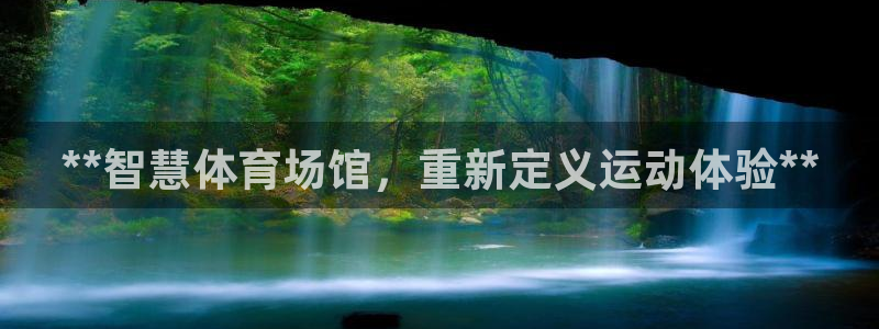 必一体育官网入口：*