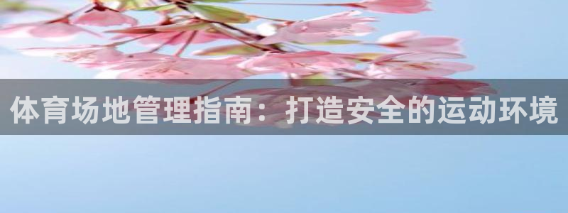 必一体育官方app下载