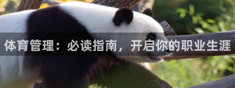 必一体育下载app下