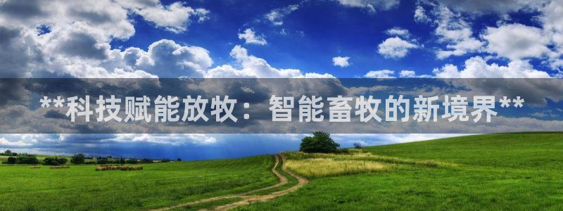 必一体育网站