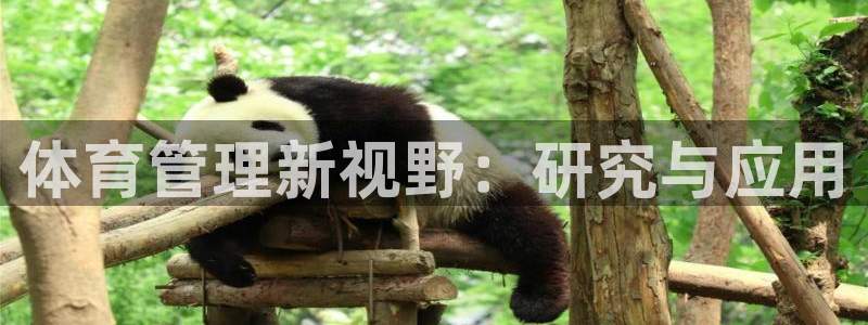 必一体育运动app