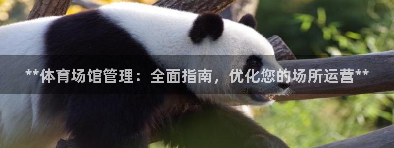 必一运动sport网