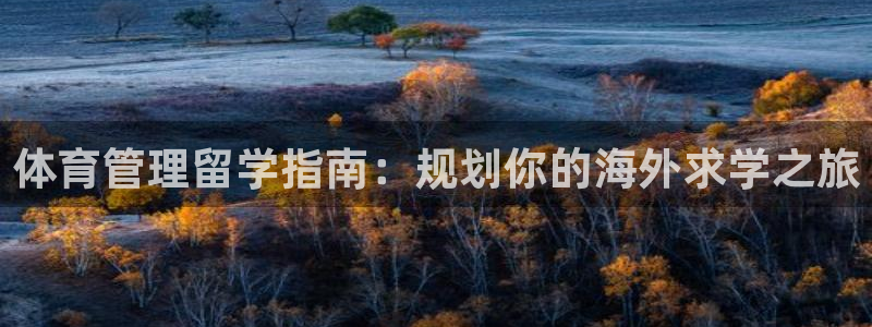 必一运动 b 体育素描版