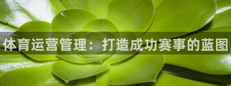 必一运动sport爱