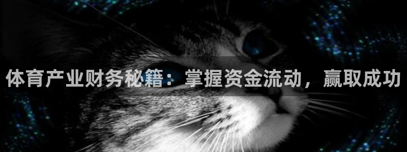 必一体育sport网