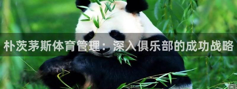必一运动bsport体育app下载