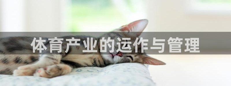 必一体育运动平台官网