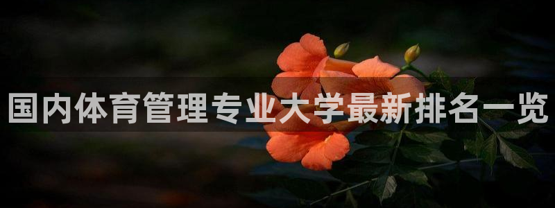 b体育官网下载入口app必一