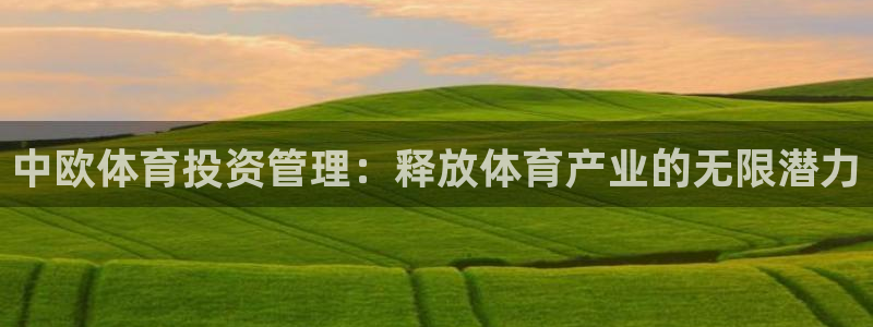 必一体育全站在线登录入口