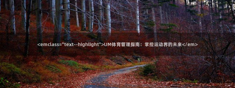 必一体育官网app