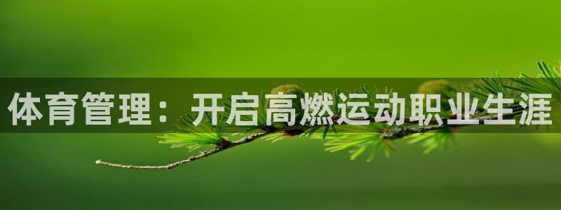 必一体育运动官网