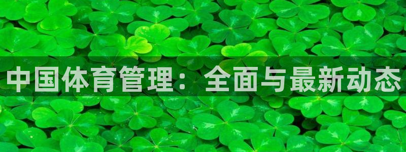 必一体育是哪里的台子