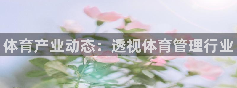 必一体育官方入口