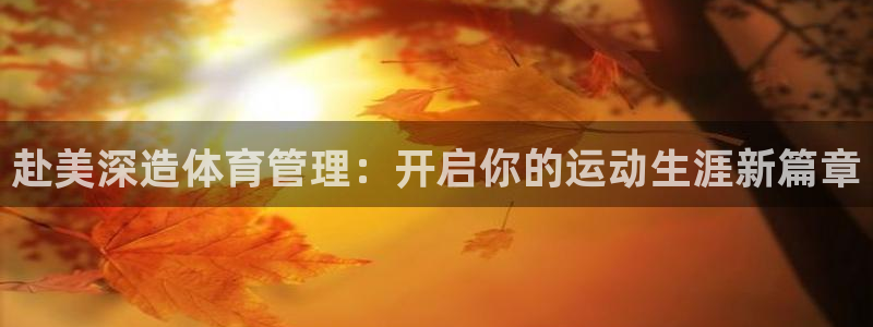 必一体育手机下载：赴