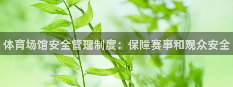 必一体育登录入口AP