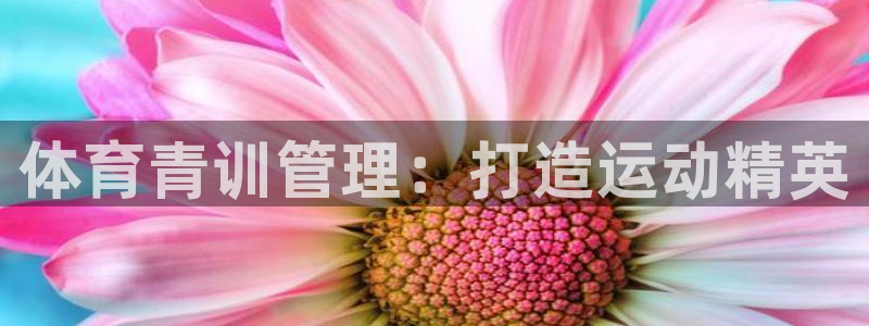 必一体育下载登入