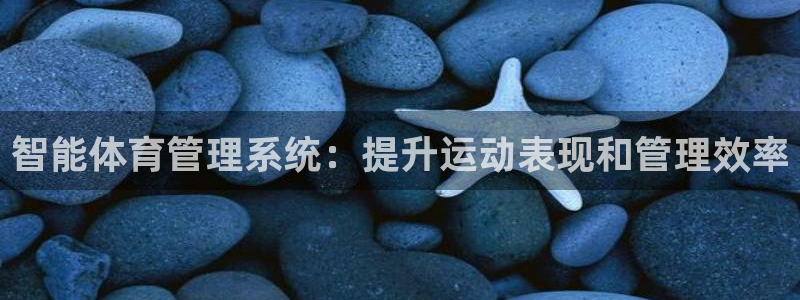 必一体育app下载安