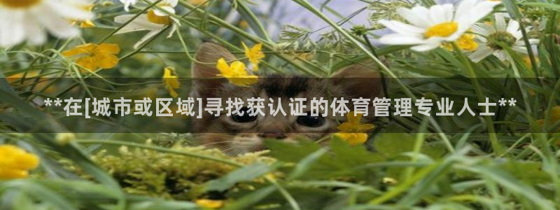 b体育必一下载：**