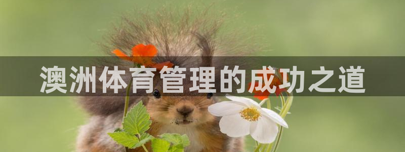 必一体育官网入口：澳