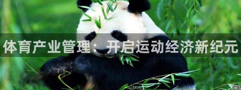 必一体育app官方网站