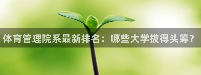 必一体育网页版登录
