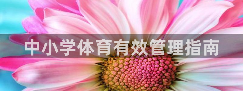必一体育能提现大金额吗
