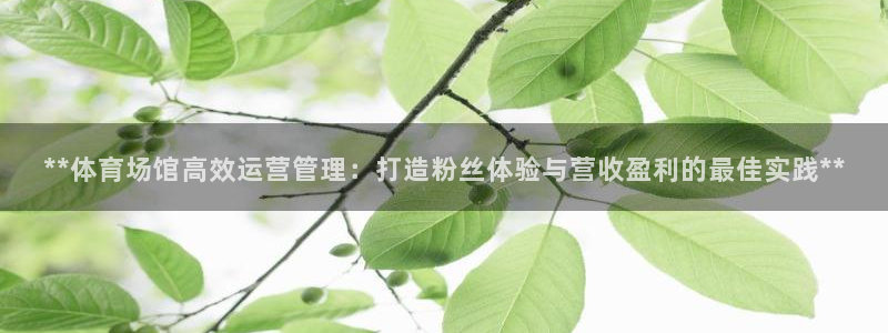 必一体育sport官