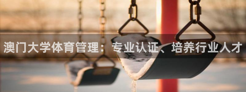 必一体育登录入口AP