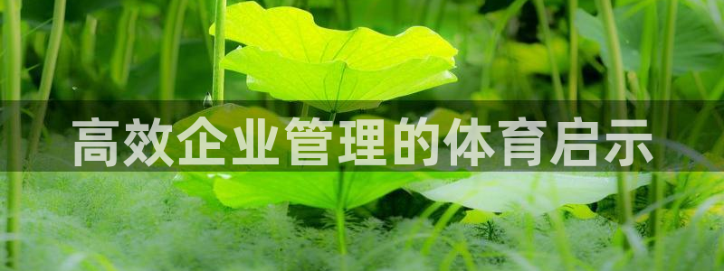 必一体育app平台下载